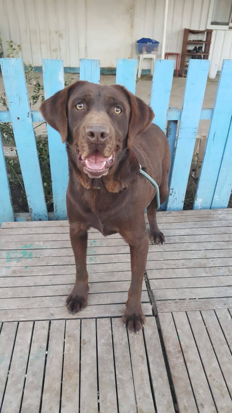 Monty (fka Mocha)
